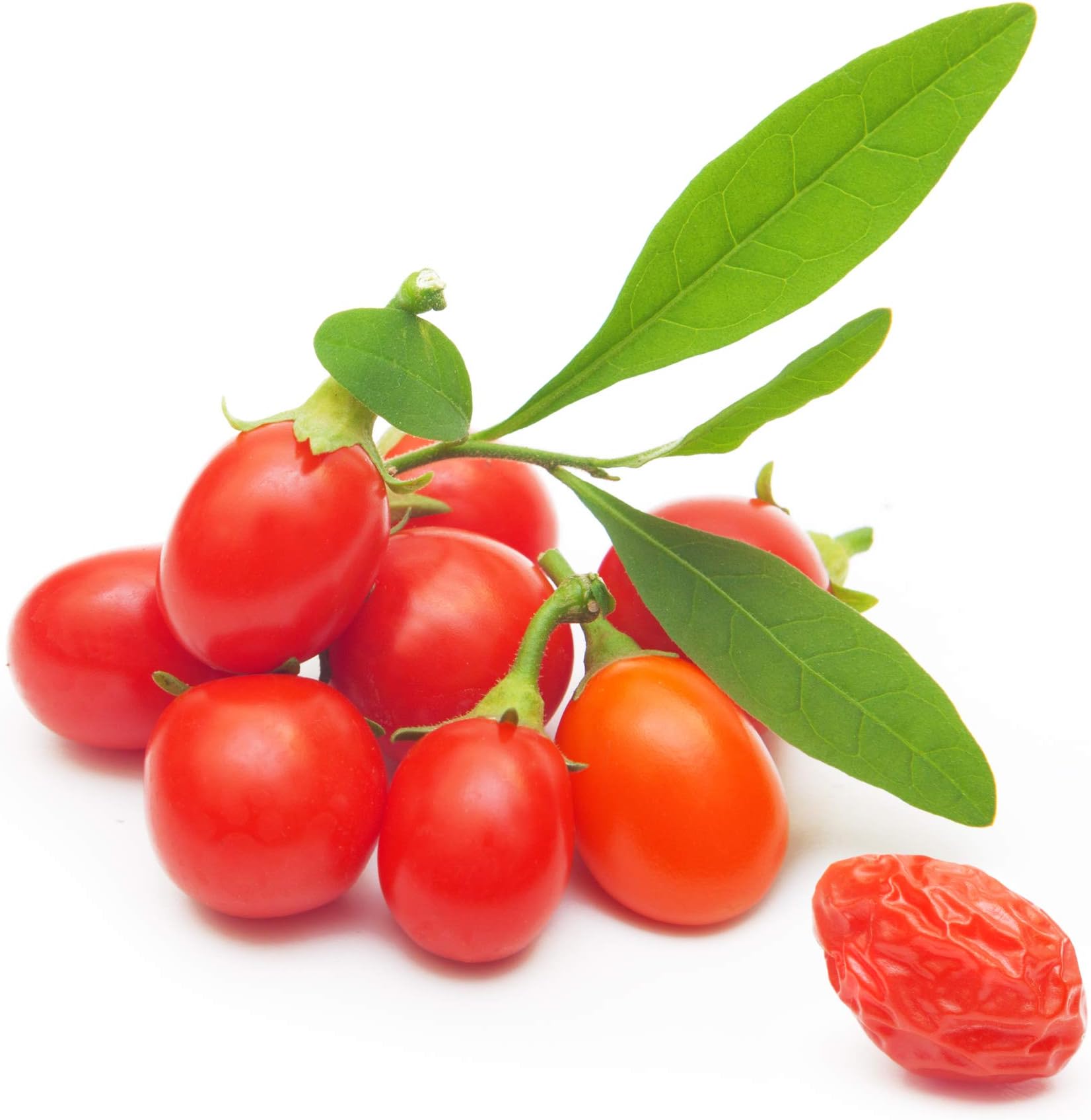 Tibetan Goji Berry 50 Seeds (Lycium chinense) Heirloom - Non GMO - Open Pollinated
