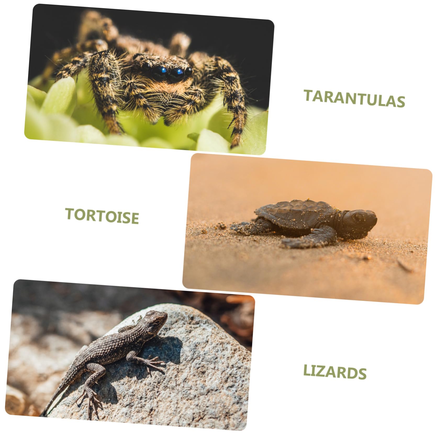 VANZACK Reptile Carpet Mat Fake Grass Bedding for Bearded Dragon Reusable Snake Substrate Liner Comfortable Pet Mat