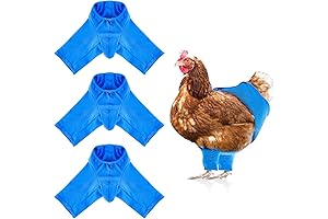 Charming Chicken Pants: A Fashionable Fiesta for Your Feathered Friends