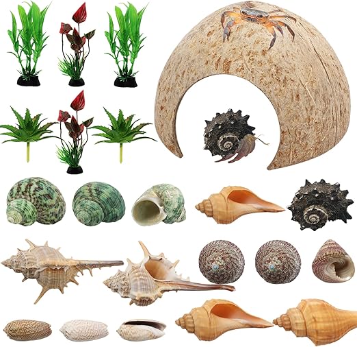 PietyPet Hermit Crab Supplies, 22 pcs Hermit Crab Shells