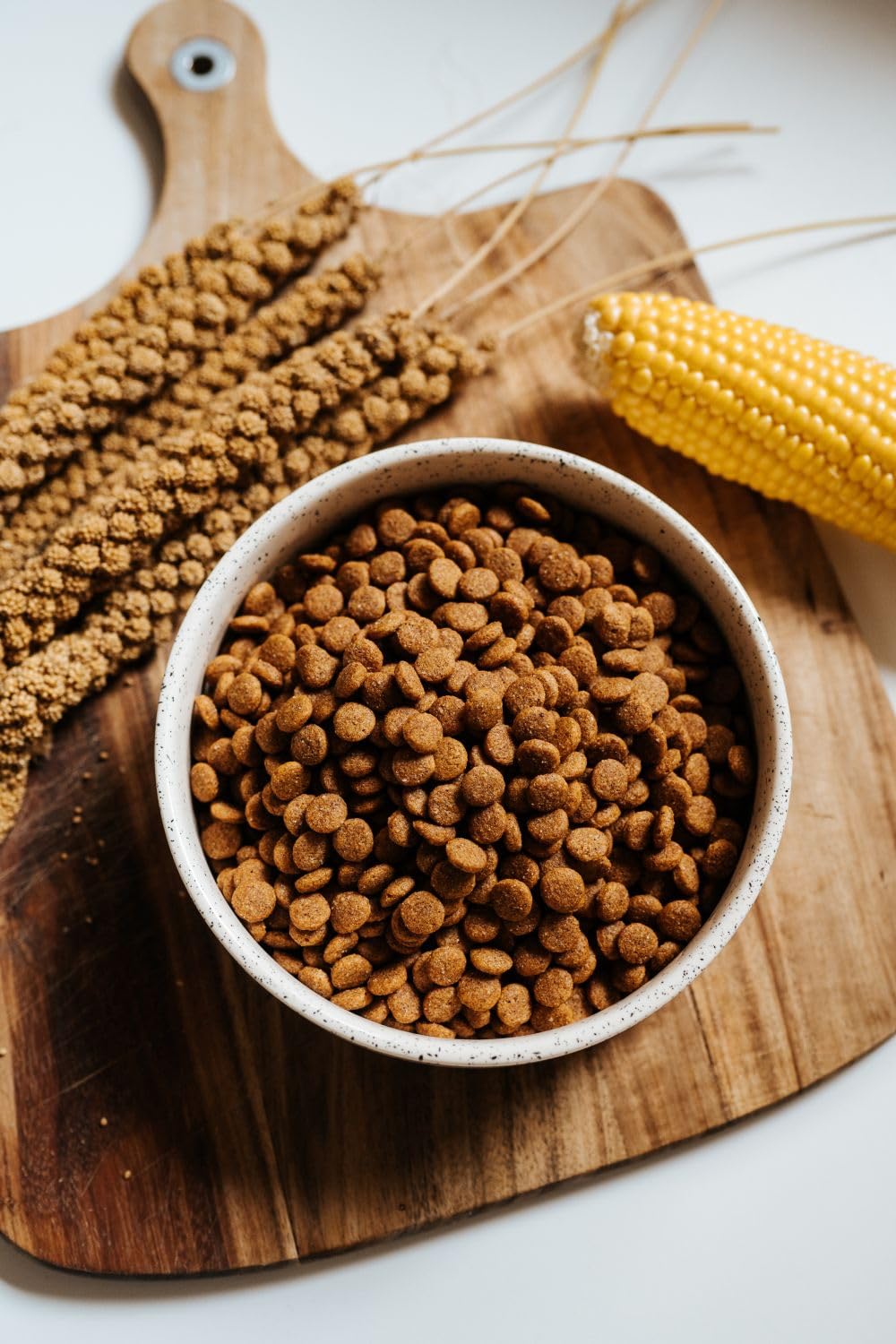 VEGDOG Simply Crunch hypoallergenes Trockenfutter (10 kg) | Adulte Hunde | ohne Gluten und Soja, gut verträglich, purinarm | Alleinfutter für Allergiker mit Maisprotein