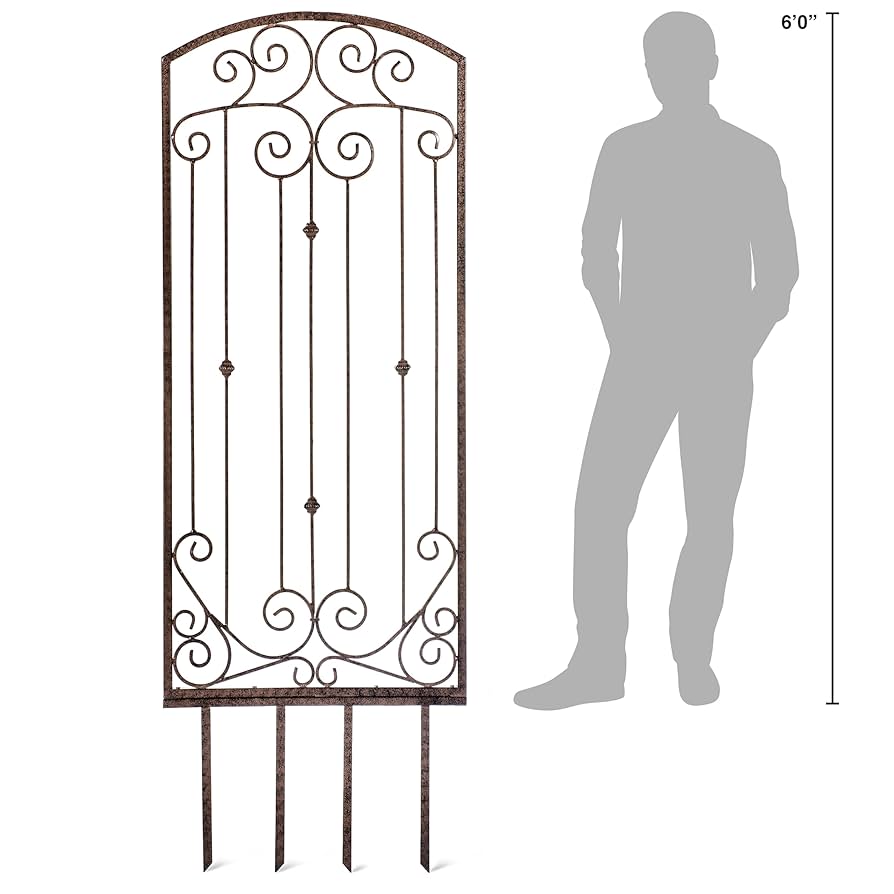 HARRY　AT THE GARDEN Plants & Pours at The Jay Tickets, Sun, Sep 28, 2025 at 1:00