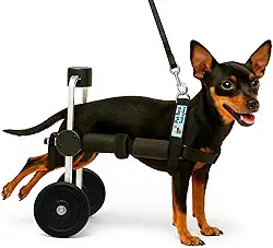 Cadeira de Rodas para Cachorro e Gatos Mini Porte Pet Best Soluções BasicLine