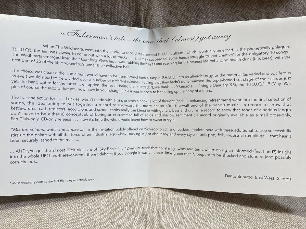 Amazon.co.jp: THE WILDHEARTS - FISHING FOR MORE LUCKIES 95年