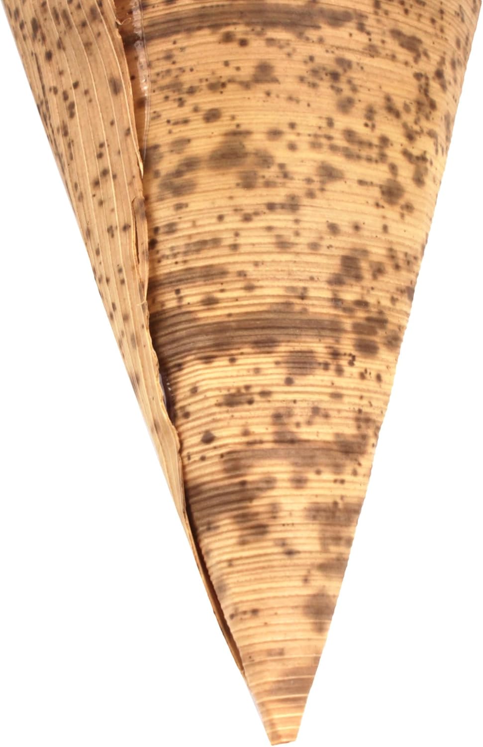 BambooMN 6.7" x 3" Premium Appetizer Bamboo Leaf Food Cone, Renewable and Disposable, Great for Catering, Parties and Home Use, 300 Pieces