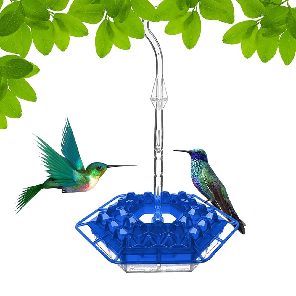 Amazon.co.jp: Sweety Hummingbird Feeder - 六角形の鳥の餌箱