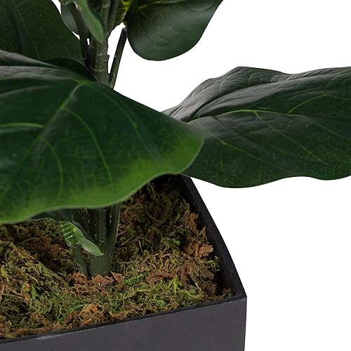 Miniatura 8 de A&B Home - Planta artificial de higuera de hoja de violín en maceta de 3 pies de alto, plantas artificiales para decoración del hogar en interiores,