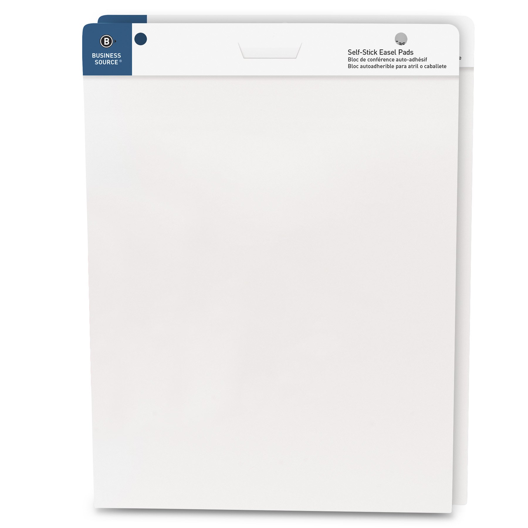 Business Source Paper Pads Easel Pad, 2/PK (38591)