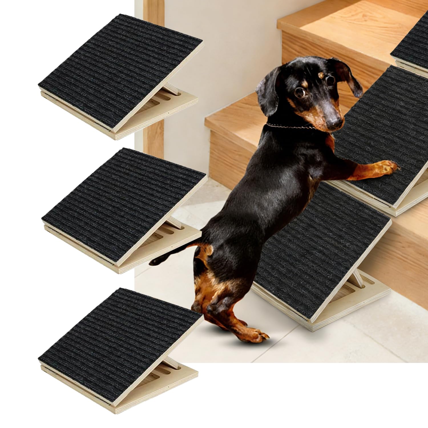 2 Pezzi Scaletta per Cani,Scala per Cani,Gradini Superficie con Tappeto Antiscivolo,Rampe per Basso Angolo Regolabile,Gradini per Animali domestici di Taglia Piccola e Media