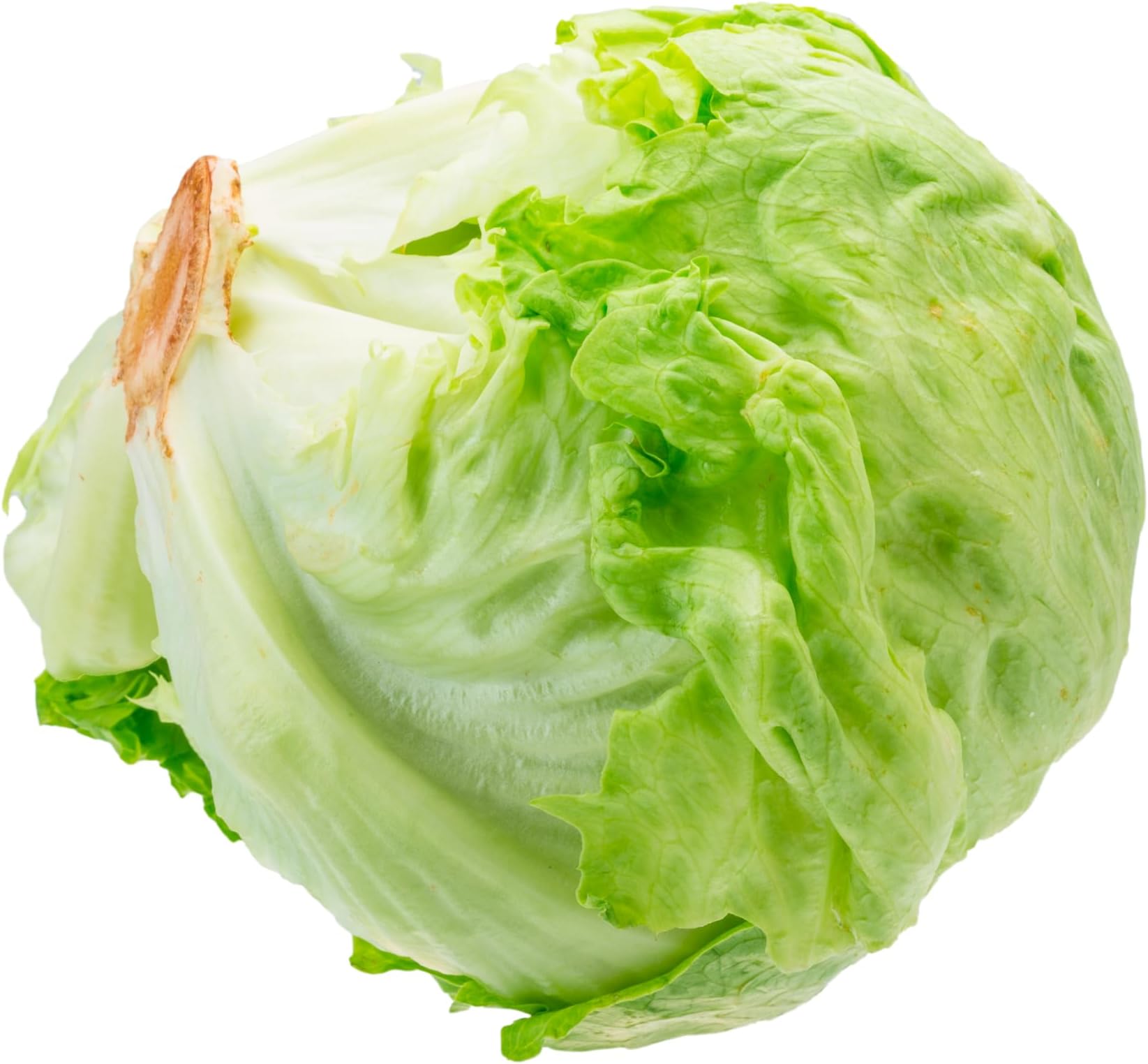 Fresh Iceberg Lettuce by RawJoy Farms