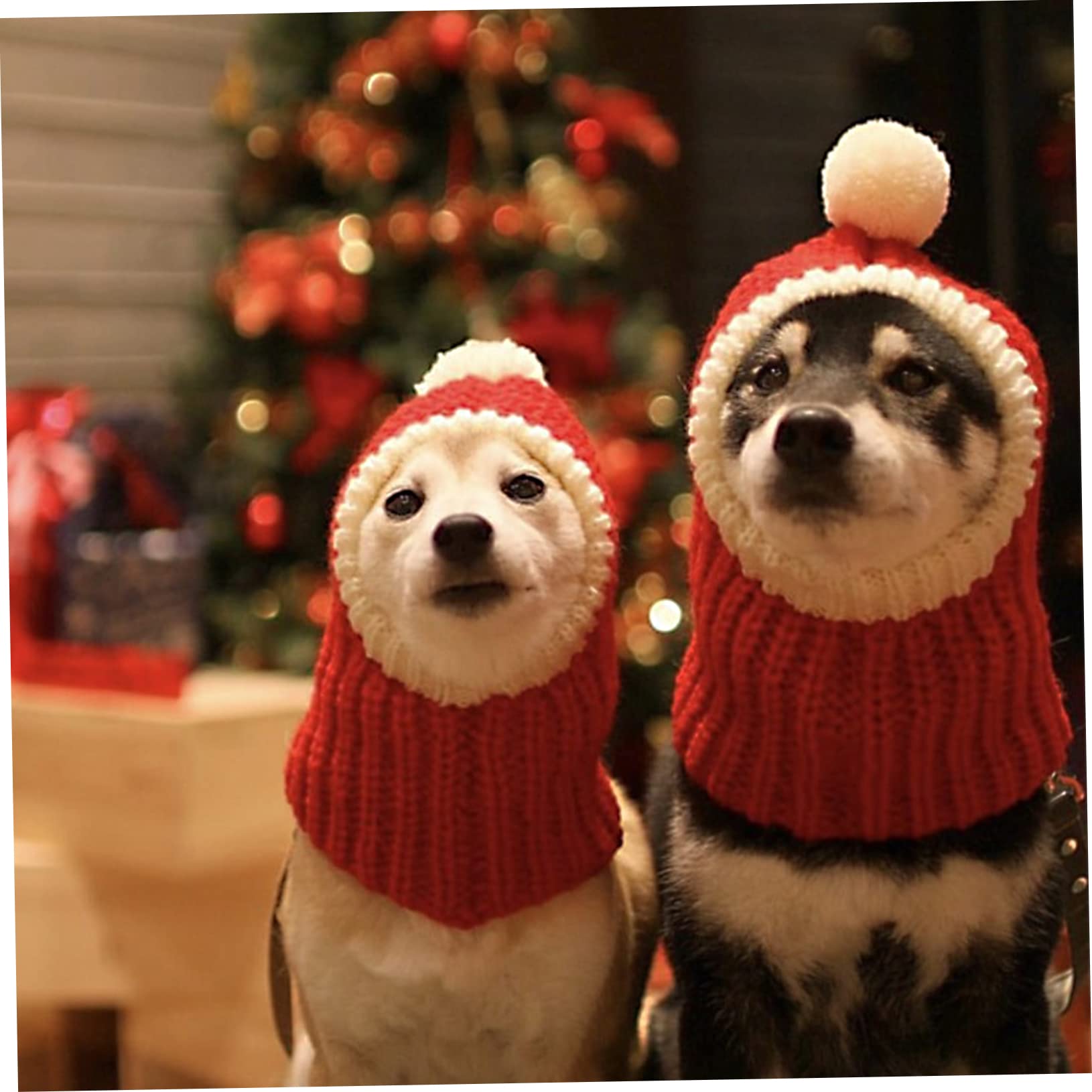 KONVINIT Bonnet Et Chapeau De Noël Pour Chiens - Déguisement Grand Chien - Ensemble Pour Petits Et Moyens Chiens