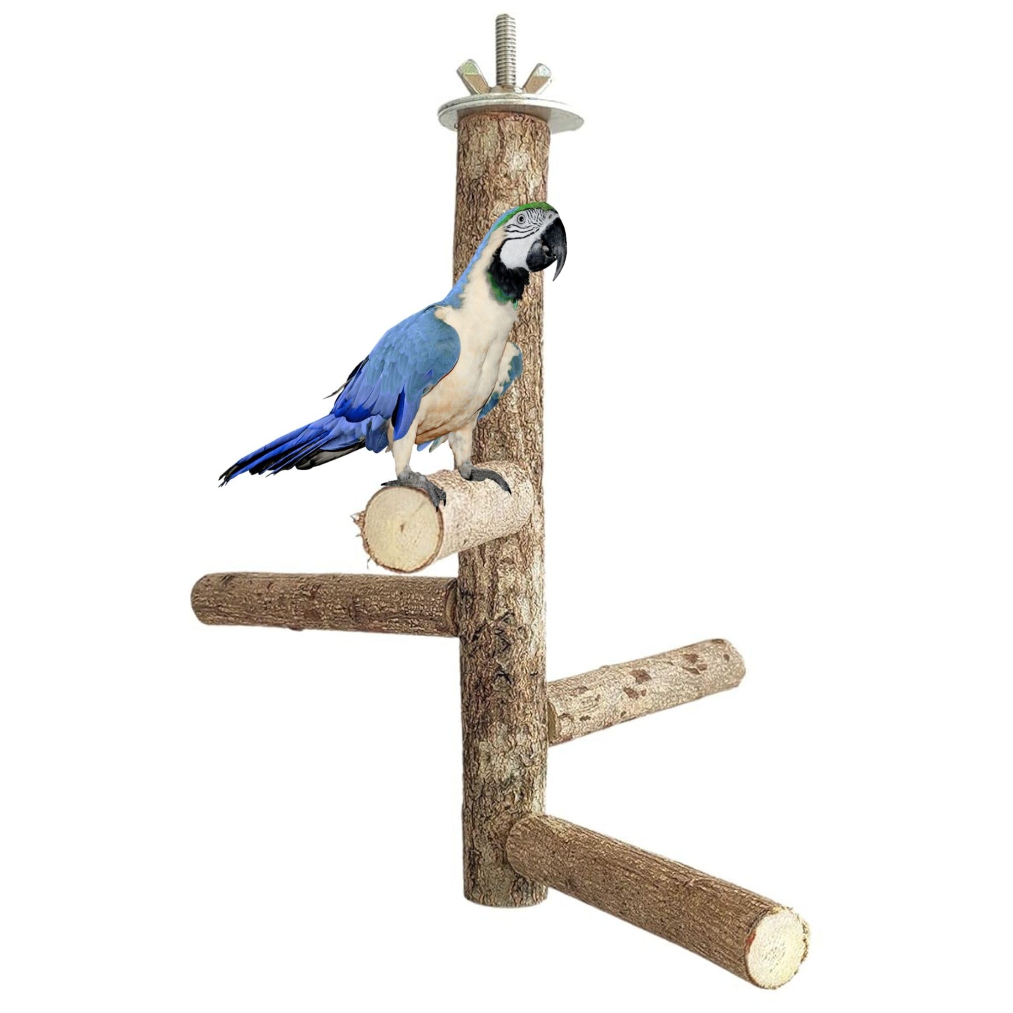 SS Organic Pet Bird Parrot Wooden Stand Perch Playground Platform,Cage Chew Playing Toy Lovely Pet Hanging Multi Branch Perch for Parrots (9 Inch x 8 Inch) (B0CJPS7FRZ) Amazon Price History, Amazon Price Tracker