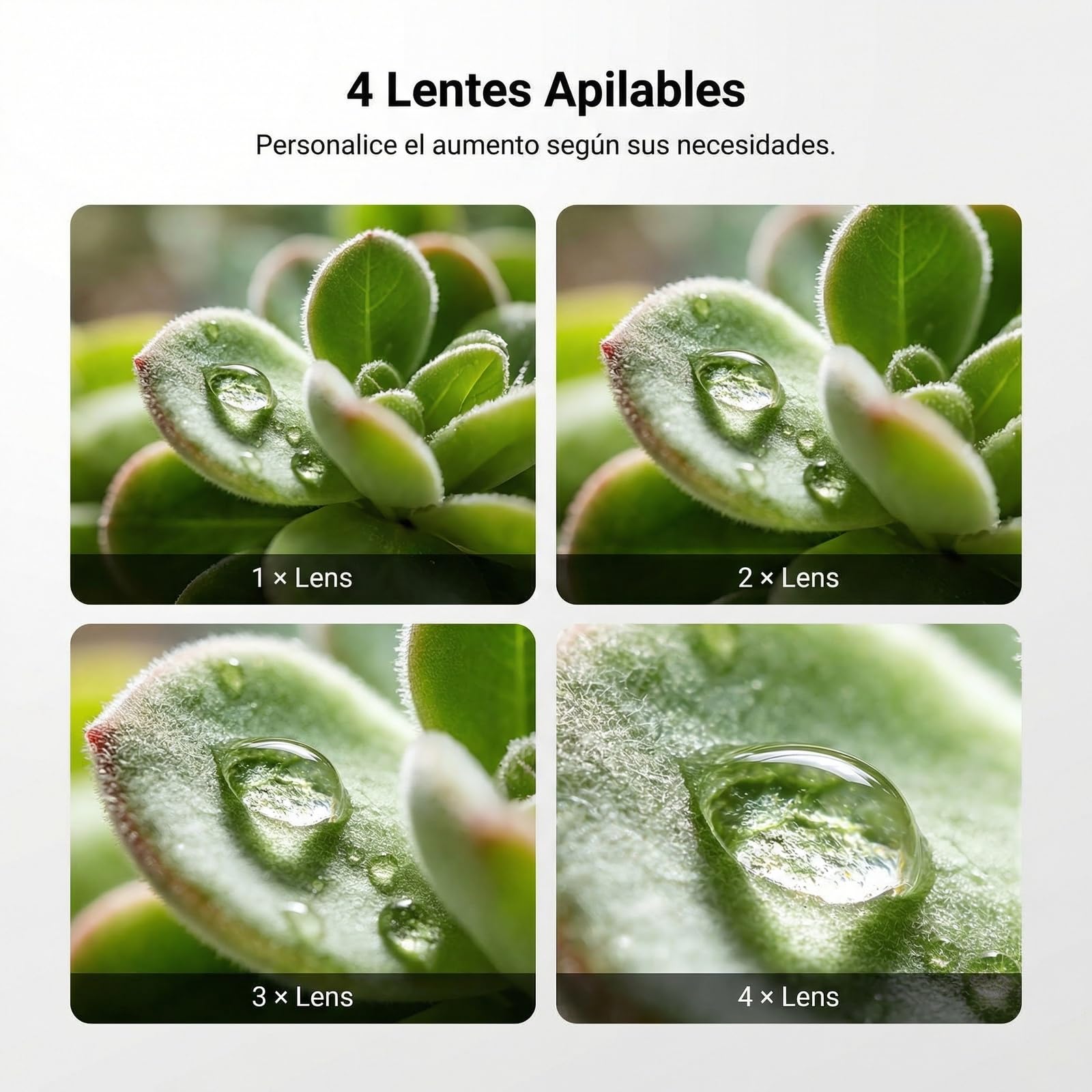 NEEWER Kit de Lentes Macro para teléfono, 4 Piezas apilables magnéticas, con Abrazadera roscada de 17 mm, Accesorios de fotografía compatibles con iPhone, Android, Samsung, LS-87