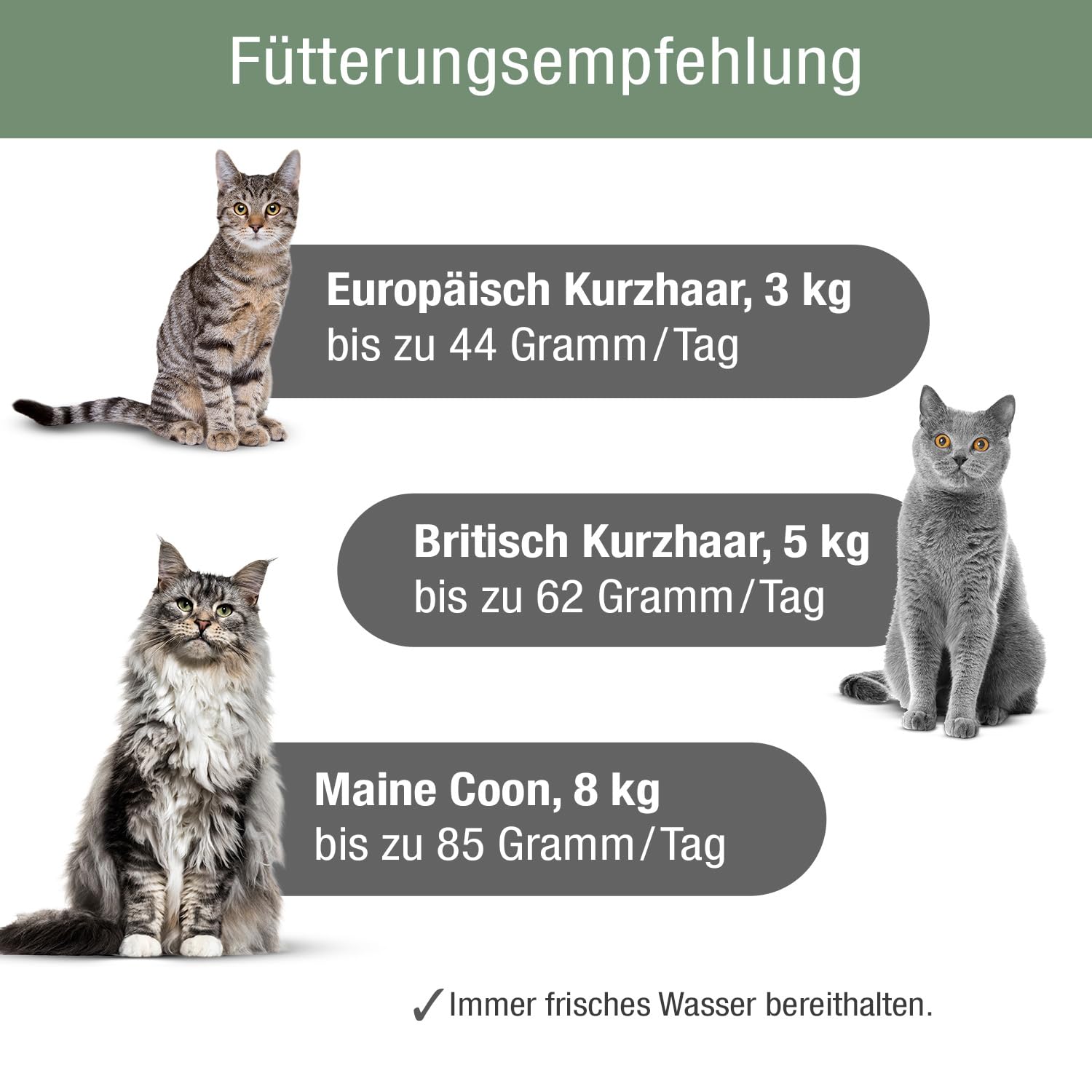 Platinum MeatCrisp Balıklı Kısır Kedi Maması 1,5 kg