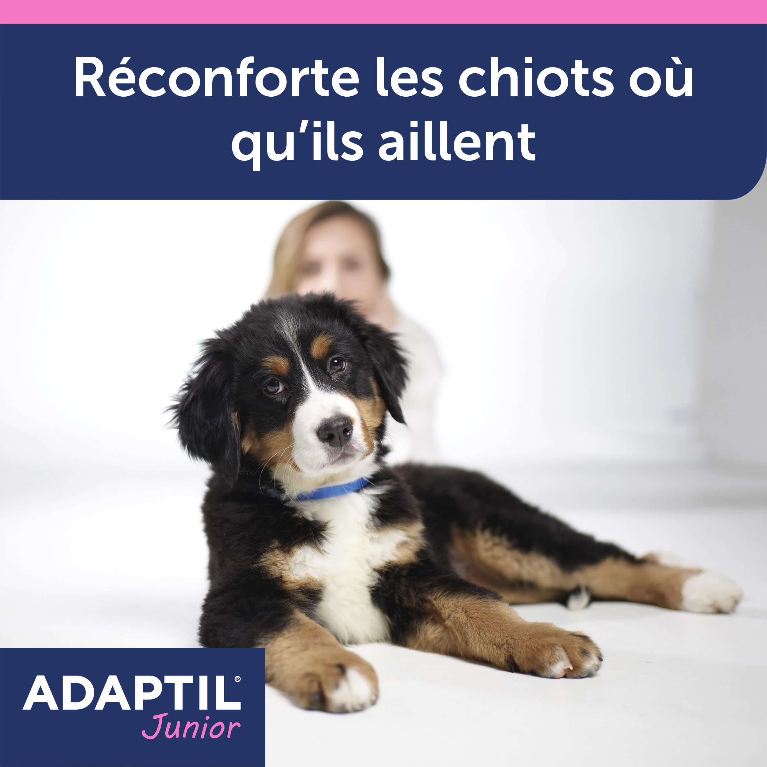 ADAPTIL Junior – Anti-stress pour chien – Collier Pour Chiots