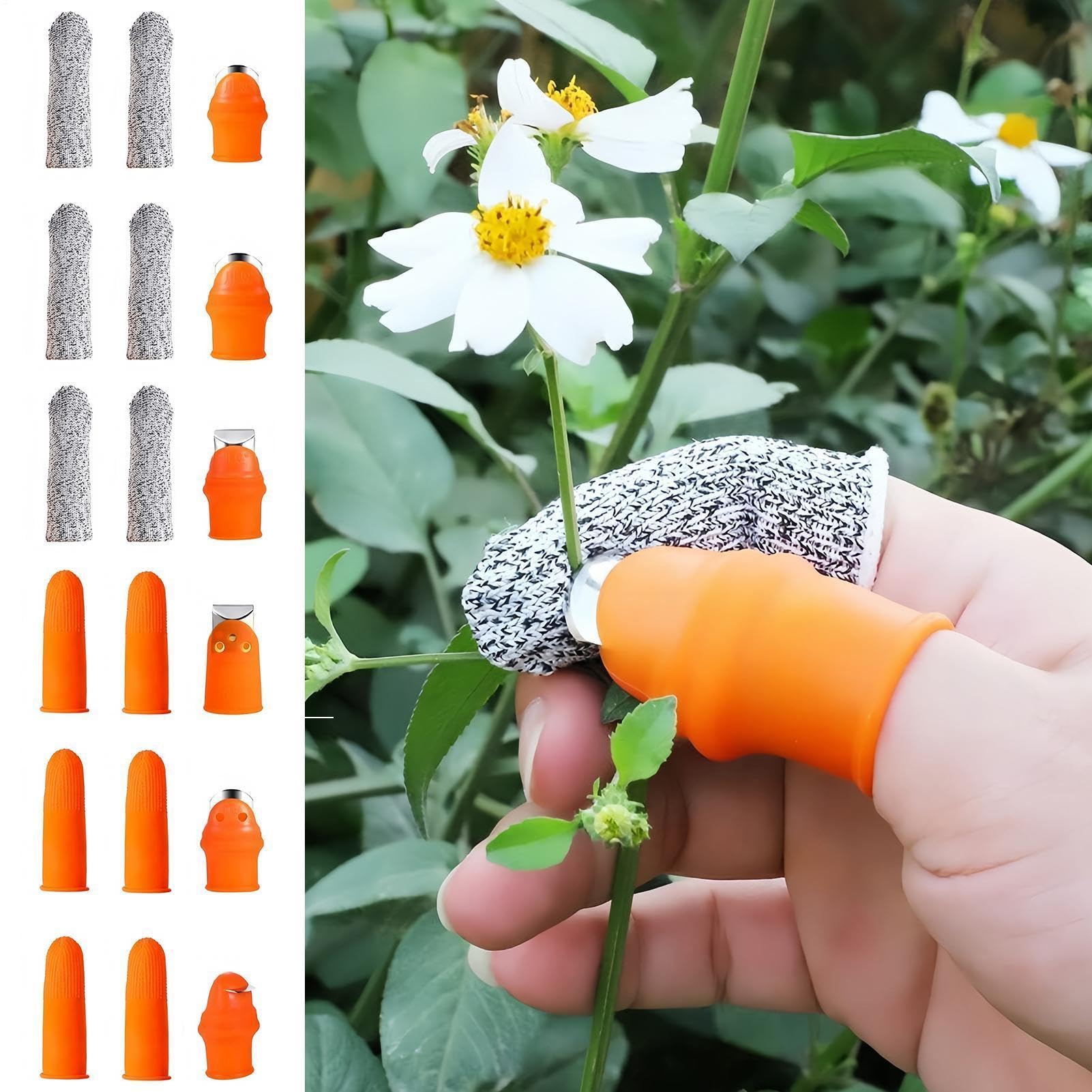 Coltelli da giardino – Strumento per la raccolta delle ciliegie, strumenti per la raccolta delle piante, per giardinieri, donne, uomini, coltivatori, fioristi, pomodori, fragole, fagioli, fiori