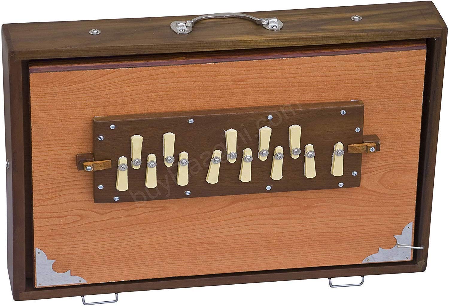 Buy Shruti Box,Side Controls, Shruthi box radel,shruthi box pedal