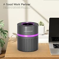 Vista 4 de MEGAWISE Purificador de aire HEPA H13 para el hogar y la oficina, limpiador de aire de escritorio con filtro HEPA verdadero, diseño ultra silencioso