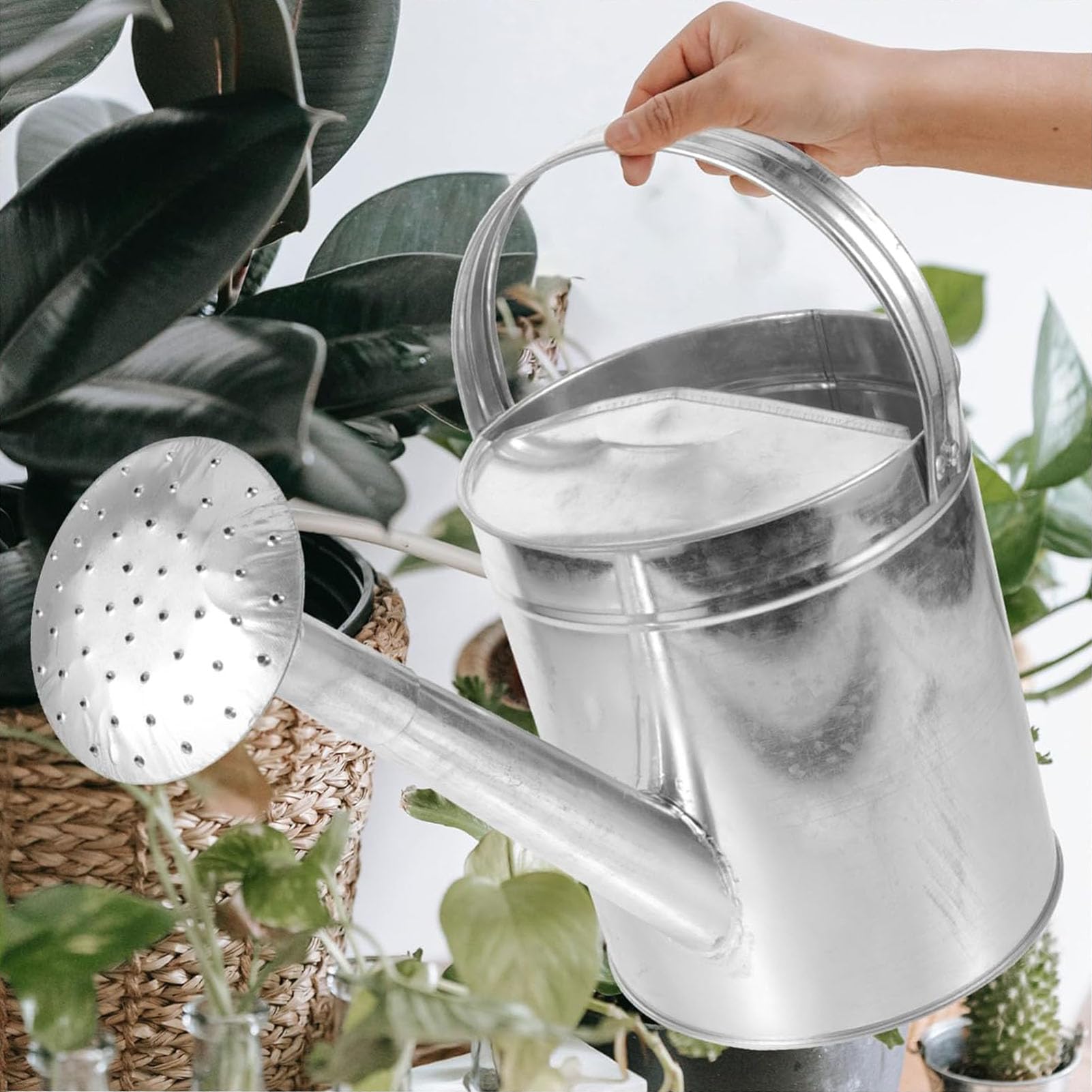 Metall Gießkanne Aus Edelstahl Mit Brauseaufsatz Für Garten Balkon Zimmerpflanzen Bewässerungskanne Mit Großer Einfüllöffnung Rostfrei Und Langlebig Ideal,10L