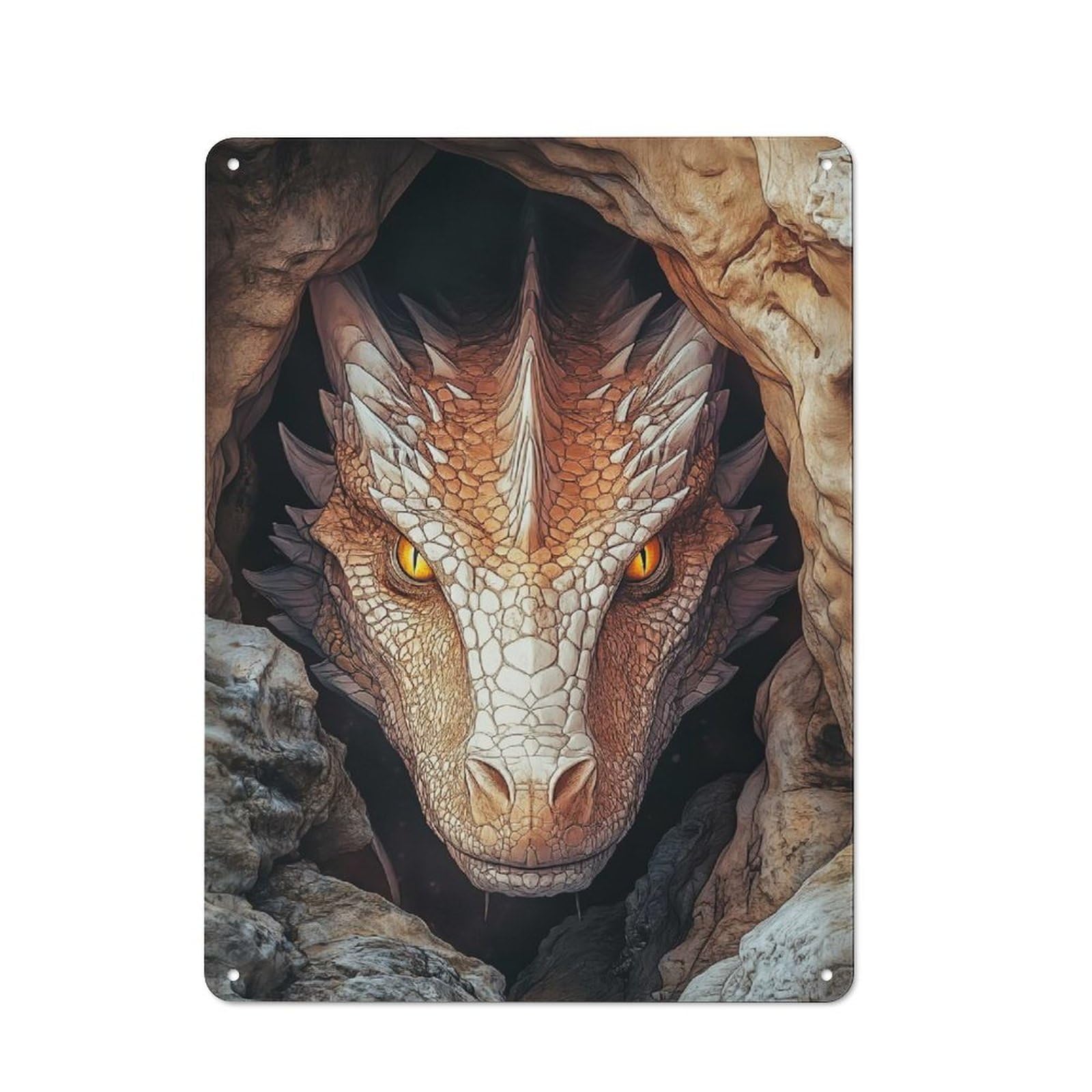 Outdoor Room Shed Metal Sign 40x30cm Featuring Dragons Gaze, Shed Wall Decor for Shed, Garden Room, Porch Or Garage