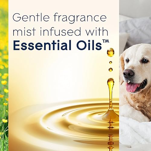 Miniatura 9 de Glade - Repuesto automático para ambientador de manzana y canela para hasta 60 días de frescura 681418 Azul 1