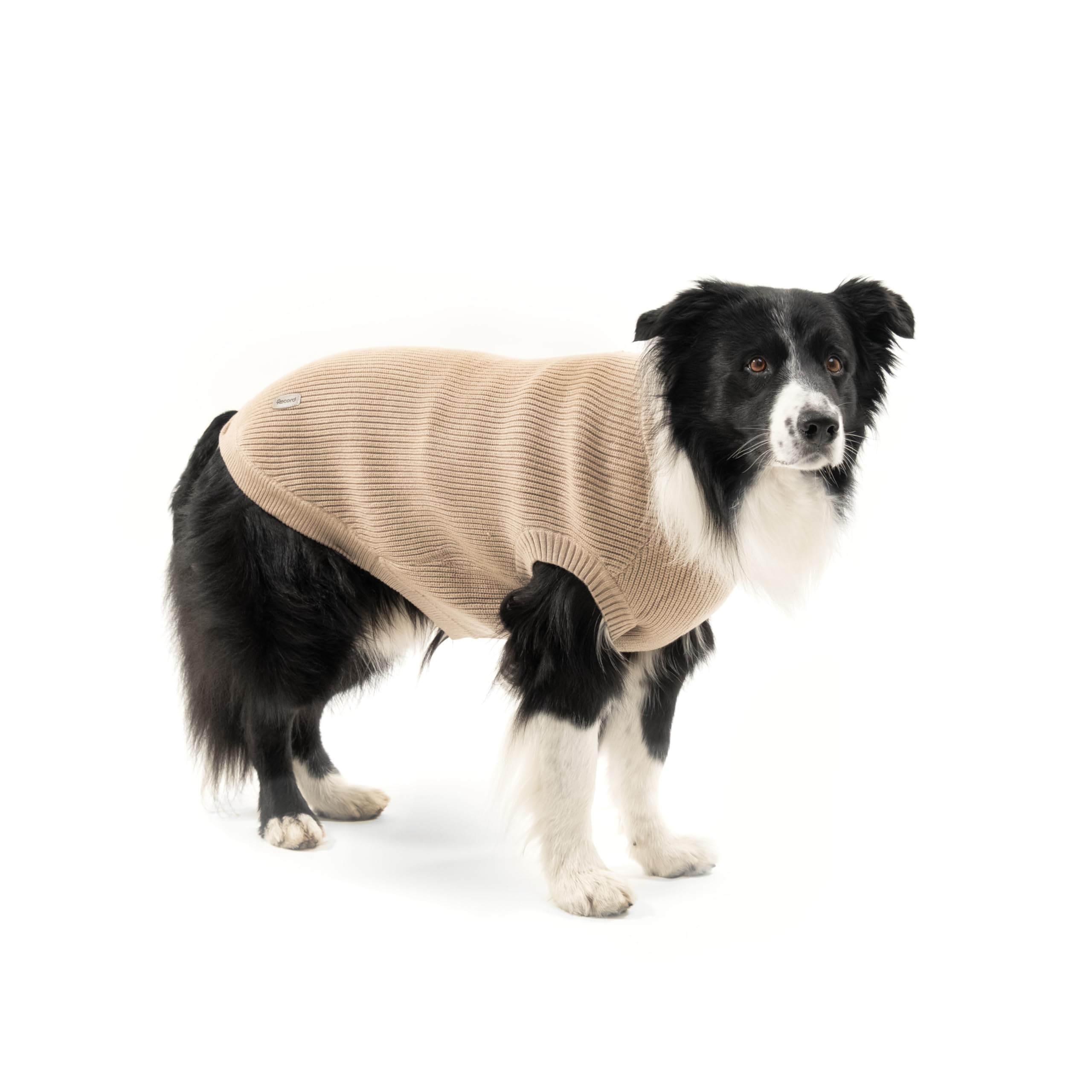 Record - Pull pour Chien Tie Dye, Trame épaisse avec Trou pour Laisse et Passants pour Pattes arrière. Longueur du Dos 55 cm. Chaud et Confortable, Parfait pour Les promenades Hivernales| Taupe 2XL