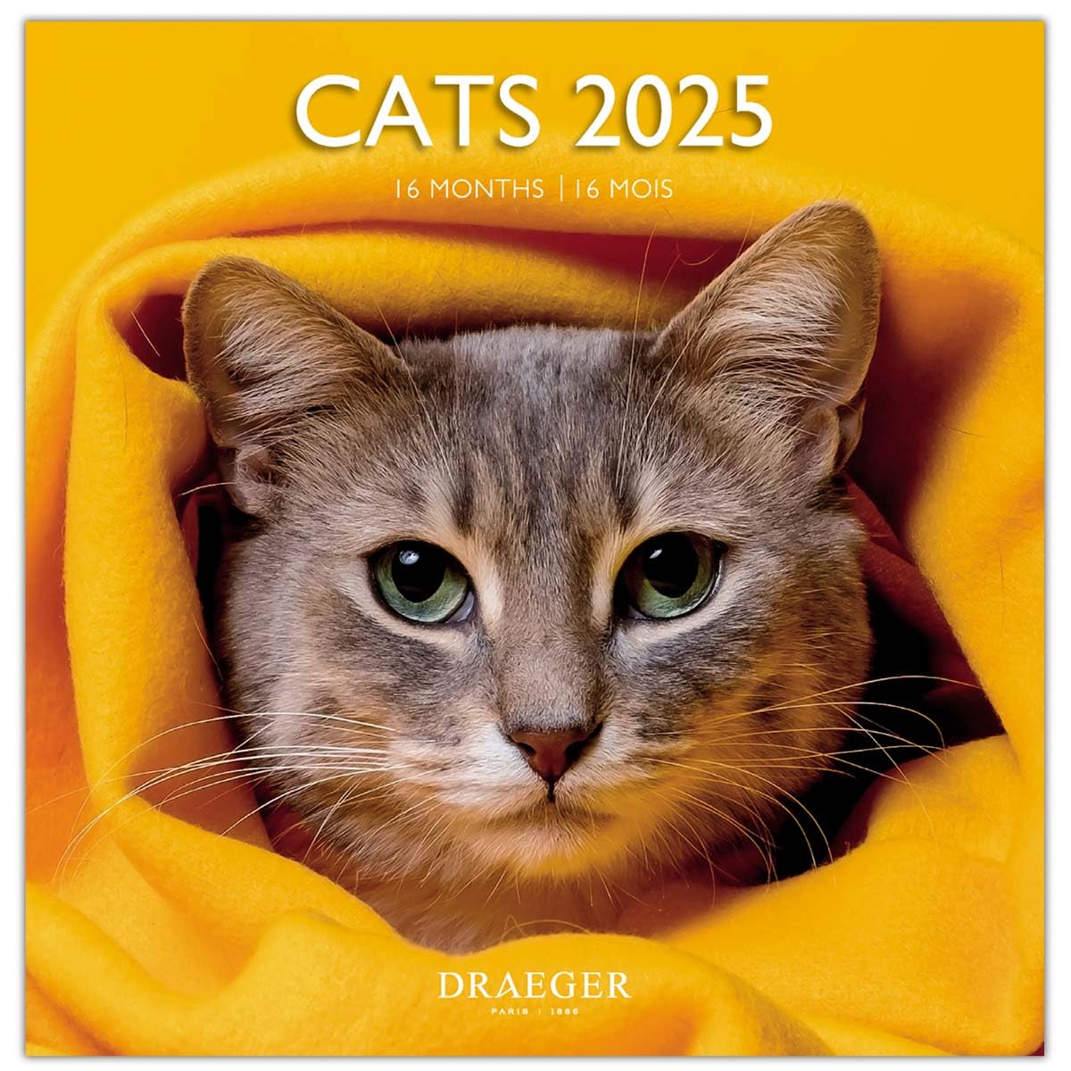 Large Wall Calendar 29 x 29 cm 2025, September 2024 to December 2025-15 Months, Days and Months Written in 7 Languages - Image 2