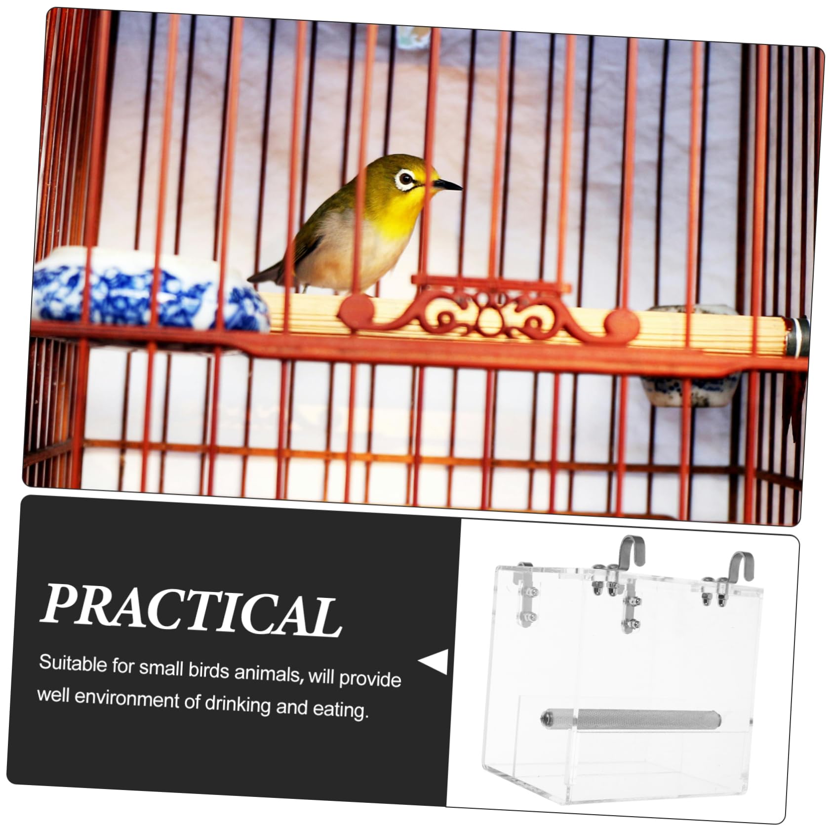 VICASKY Mangiatoia Automatica per Uccelli Ciotola Trasparente per Pappagalli e Volatili Facile da Installare e Design Decorativo S