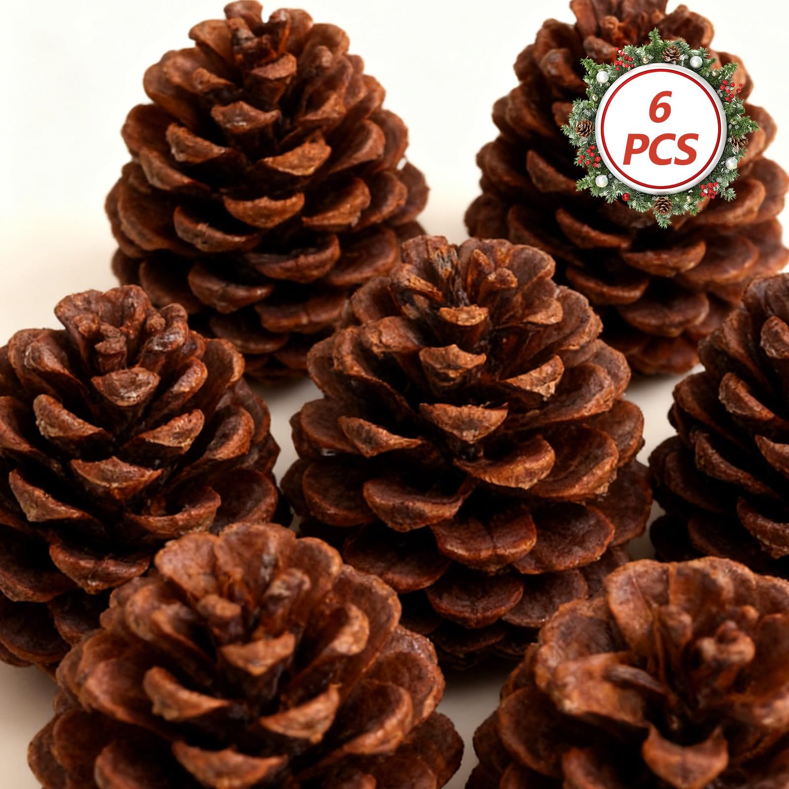 Natürliche Kiefernzapfen und Foto Requisiten zum Basteln 6 Stück Braune Tannenzapfen als Weihnachtsdeko für Indoor Dekoration