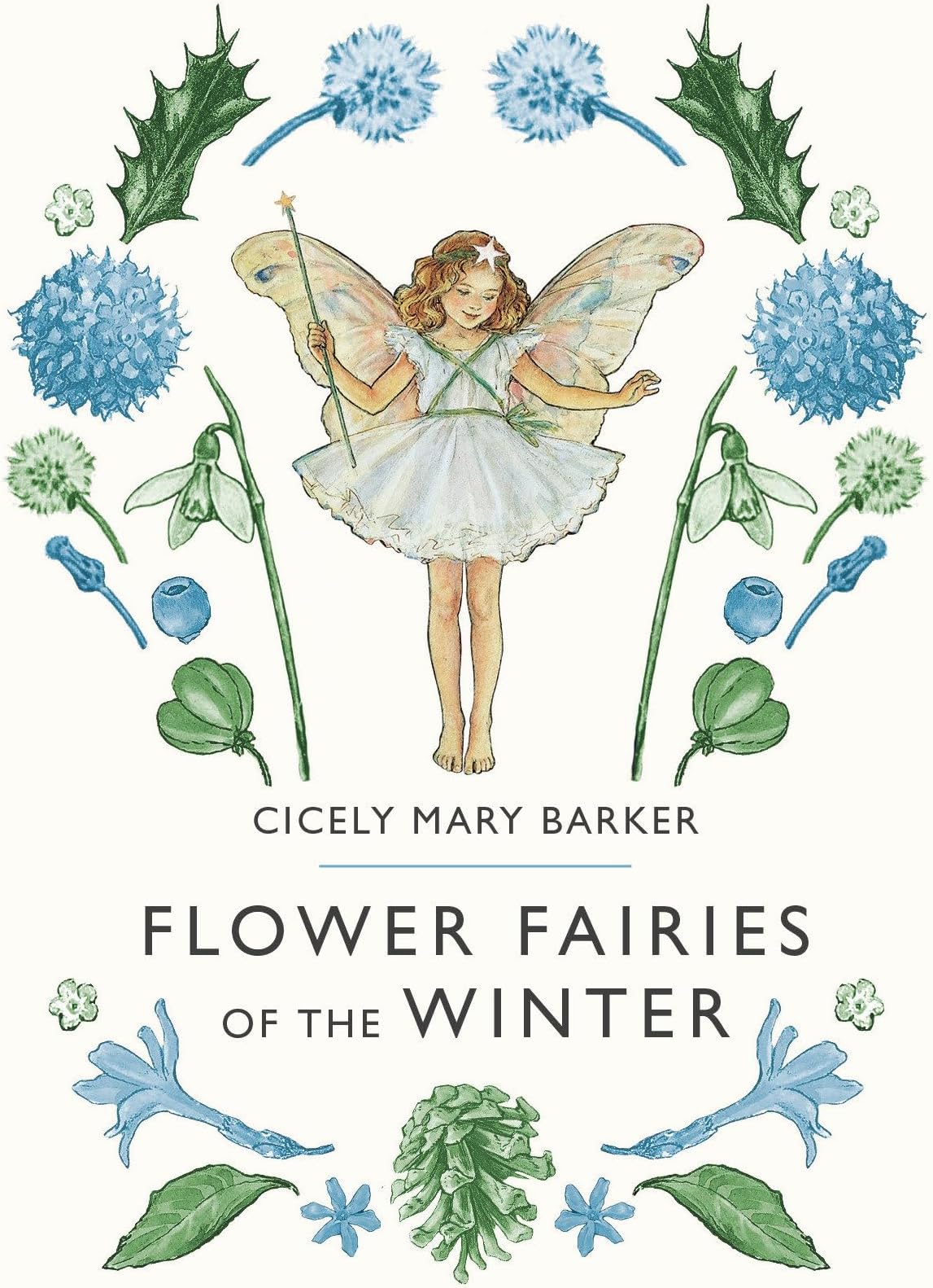 Flower Fairies of the Winter