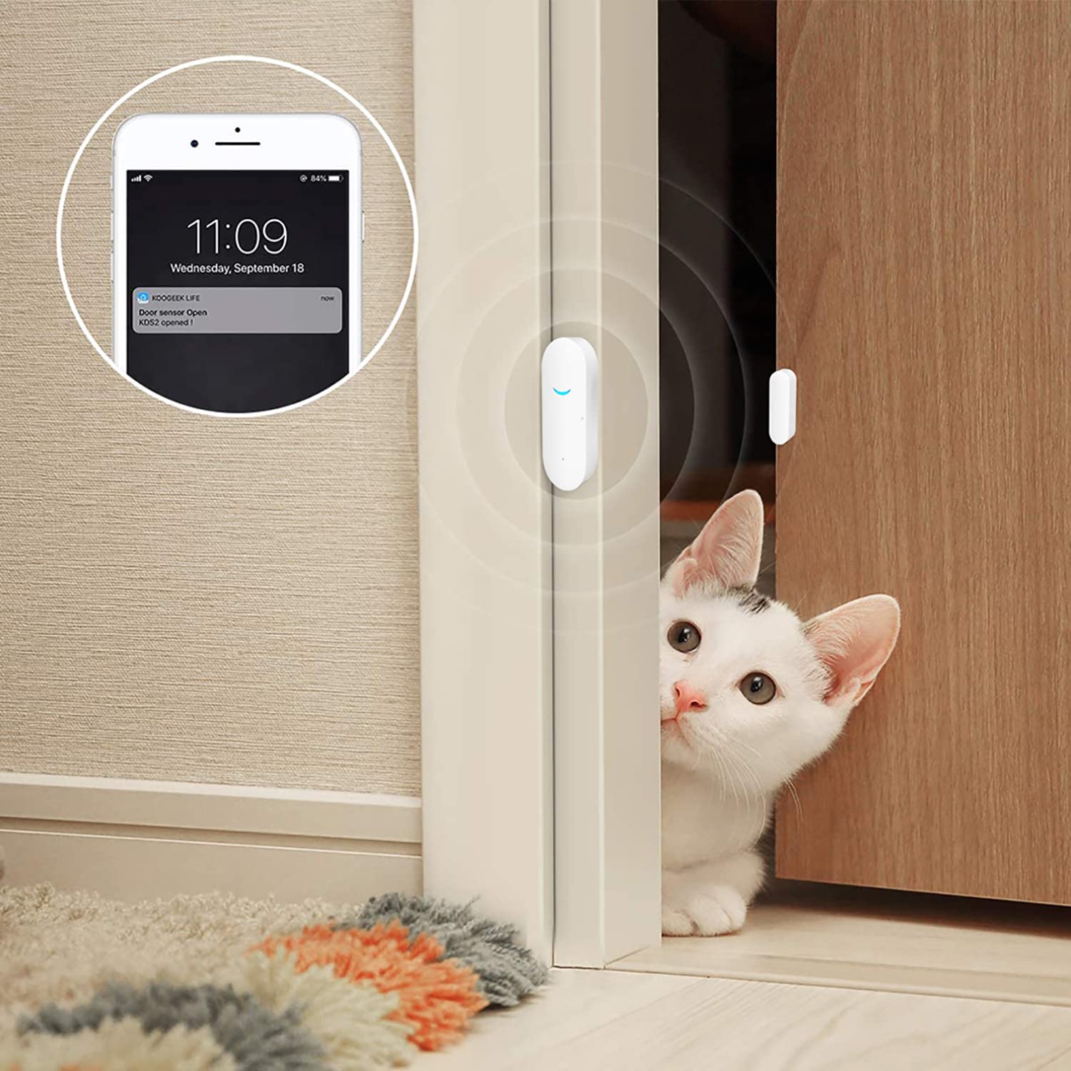 Sensor de Ventana de Puerta WiFi: Sensor de Ventana Inteligente con notificación Gratuita, Sistema de Seguridad para el hogar Inteligente, Compatible con Alexa Google Home (Paquete de 4)