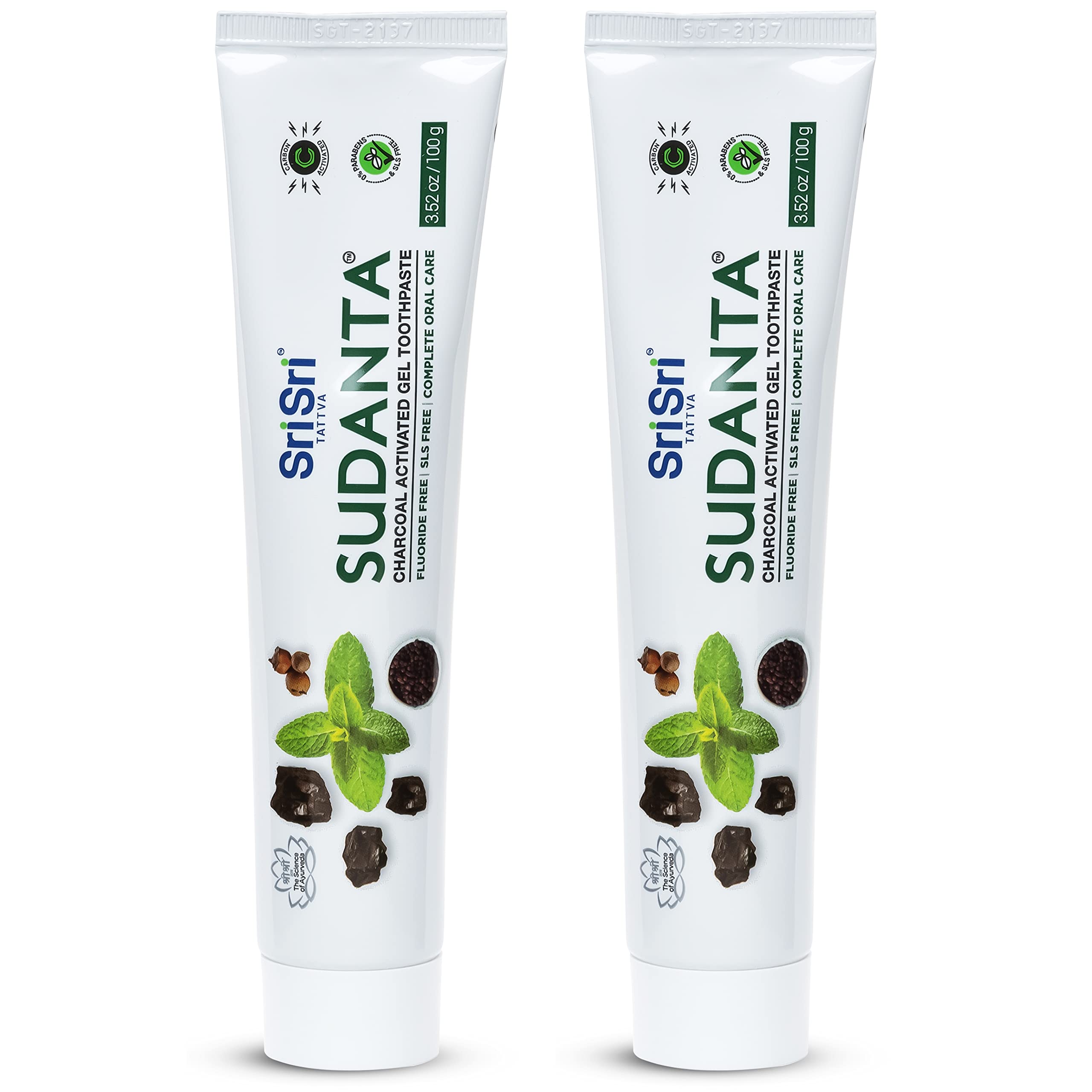 Sri Sri Tattva Sudanta Activated Charcoal Toothpaste Gel for Teeth Whitening, Healthy Gums, and Fresh Breath - All Natural Fluoride Free Toothpaste for Oral Care Without Sensitivity, 100g (2 Pack)