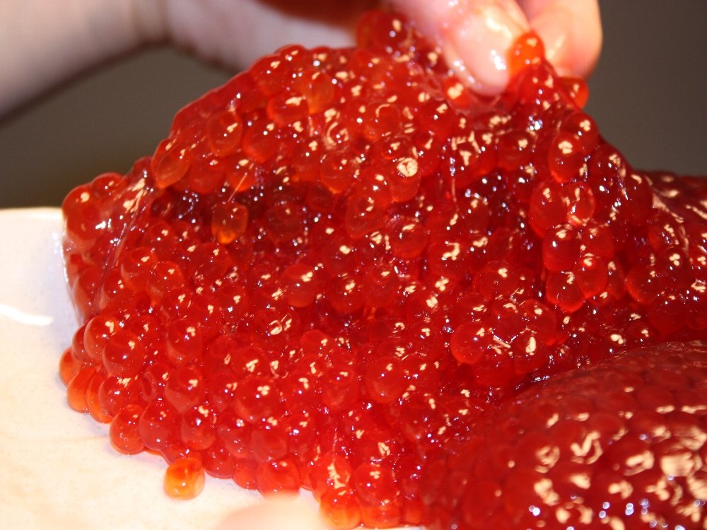 特選・秋鮭筋子-甘塩- 宗谷で作った極上筋子！