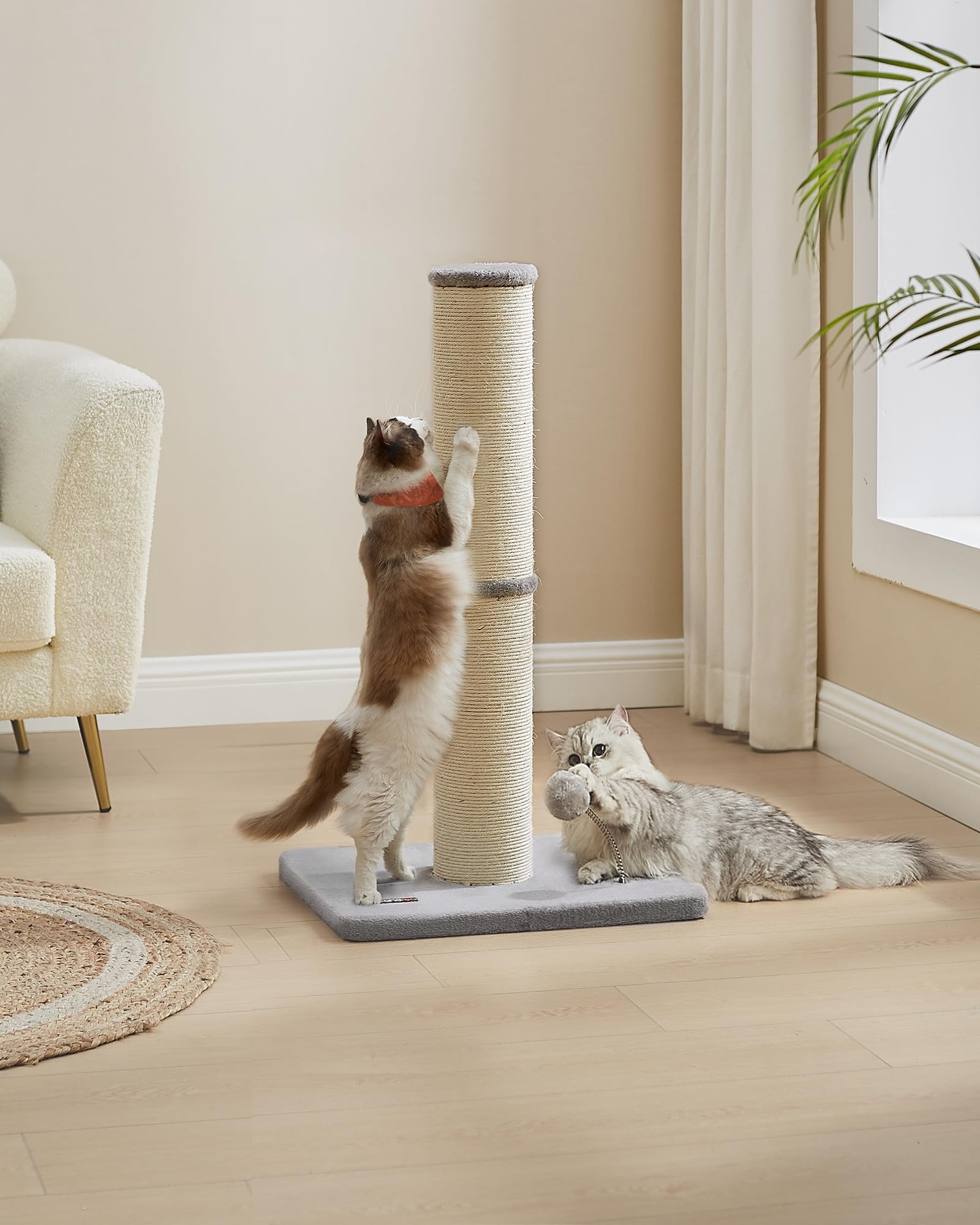 Feandrea Poste Rascador para Gatos, 85 cm de Alto, Gatos Medianos y Grandes, Poste Rascador de Sisal, Pompón de Muelle con Campana, Gris Paloma PCA041G01