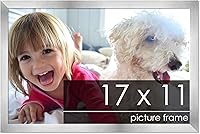 Vista 68 de Marco de 28 x 36 pulgadas de madera de peltre plateado con plexiglás acrílico UV, parte trasera de tablero de espuma y accesorios incluidos