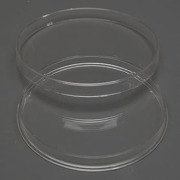 5 Genuine Air-Tite Brand Direct Fit Coin Capsules Protect Your Valuable Silver, Gold, Platinum, Challenge, and Medallion Coins Z-10 Inside Diameter 76.81mm x Depth 7.26mm