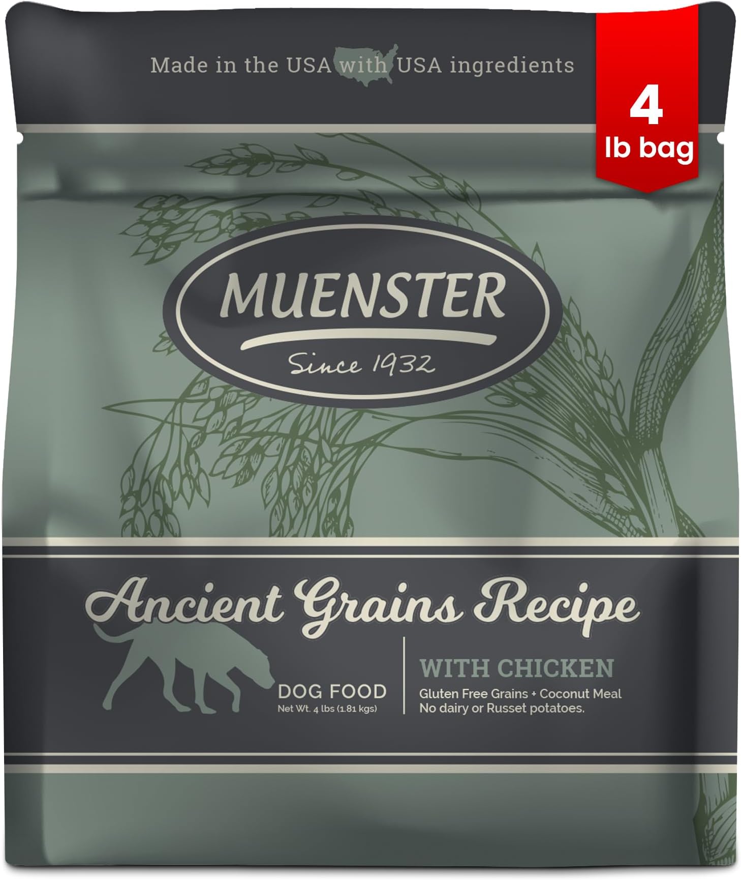 Ancient Grains Chicken Dry Dog Food, 4lb - Gluten-Free, High Protein, Digestive Support