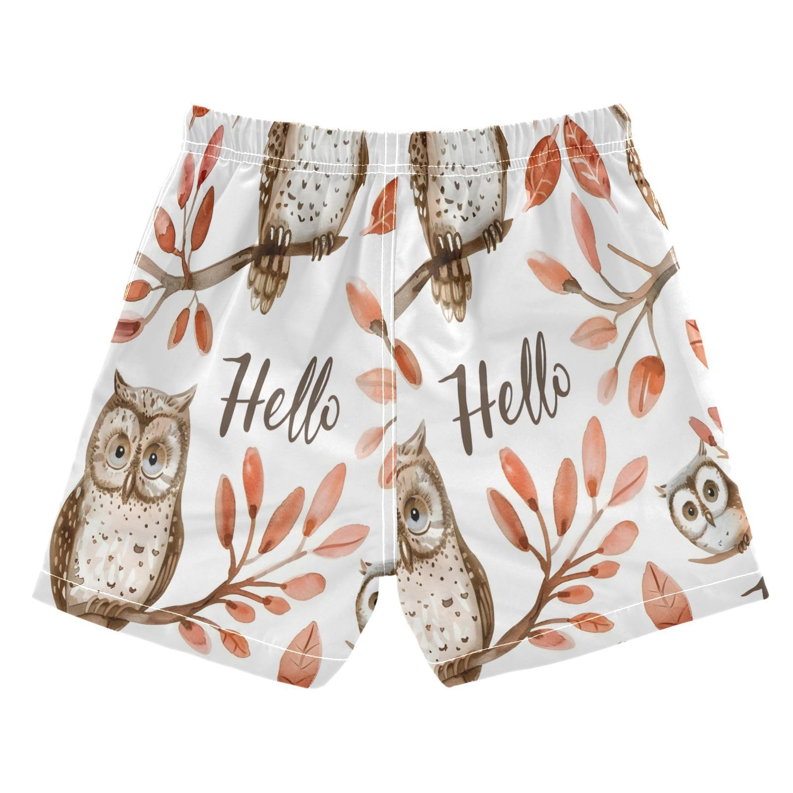 Boys Swim Trunks Toddler Swim Shorts Little Boys Swimwear Watercolor Owls with Word Bathing Suit Swimsuit Multi