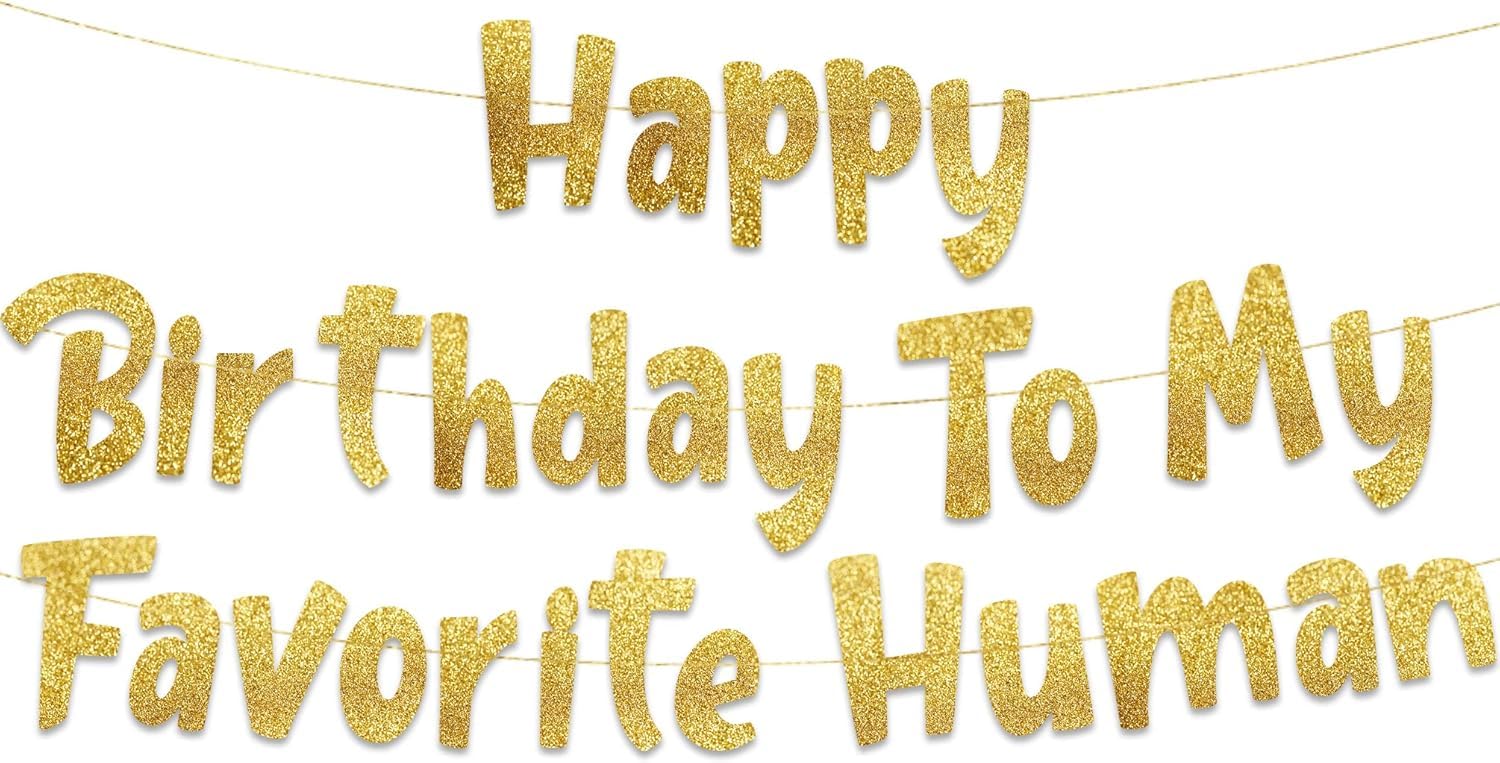 Happy Skibidi Birthday Sigma Gold Glitter Banner - Gen Z Slag - Funny Zoomer Birthday Decorations, Favors, Supplies, Ideas and Gifts