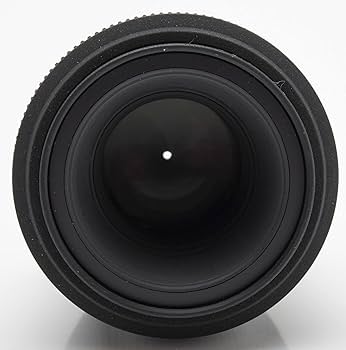 Amazon.co.jp: シグマ 105mm F2.8 EX DG MACRO ソニー用 : 家電