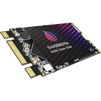 GamerKing SSD M.2 2242 256GB Ngff Internal Solid State Drive 1TB 512GB 128GB 64GB for Desktop Laptops SATA III 6Gb/s High Performance Hard Drive 256GB M.2 2242