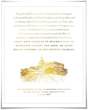 Fourteenth Amendment US Constitution Gold Foil Art Print. 7 Foil Colours. Sedition Insurrection Treason. Capitol Domestic Terrorism