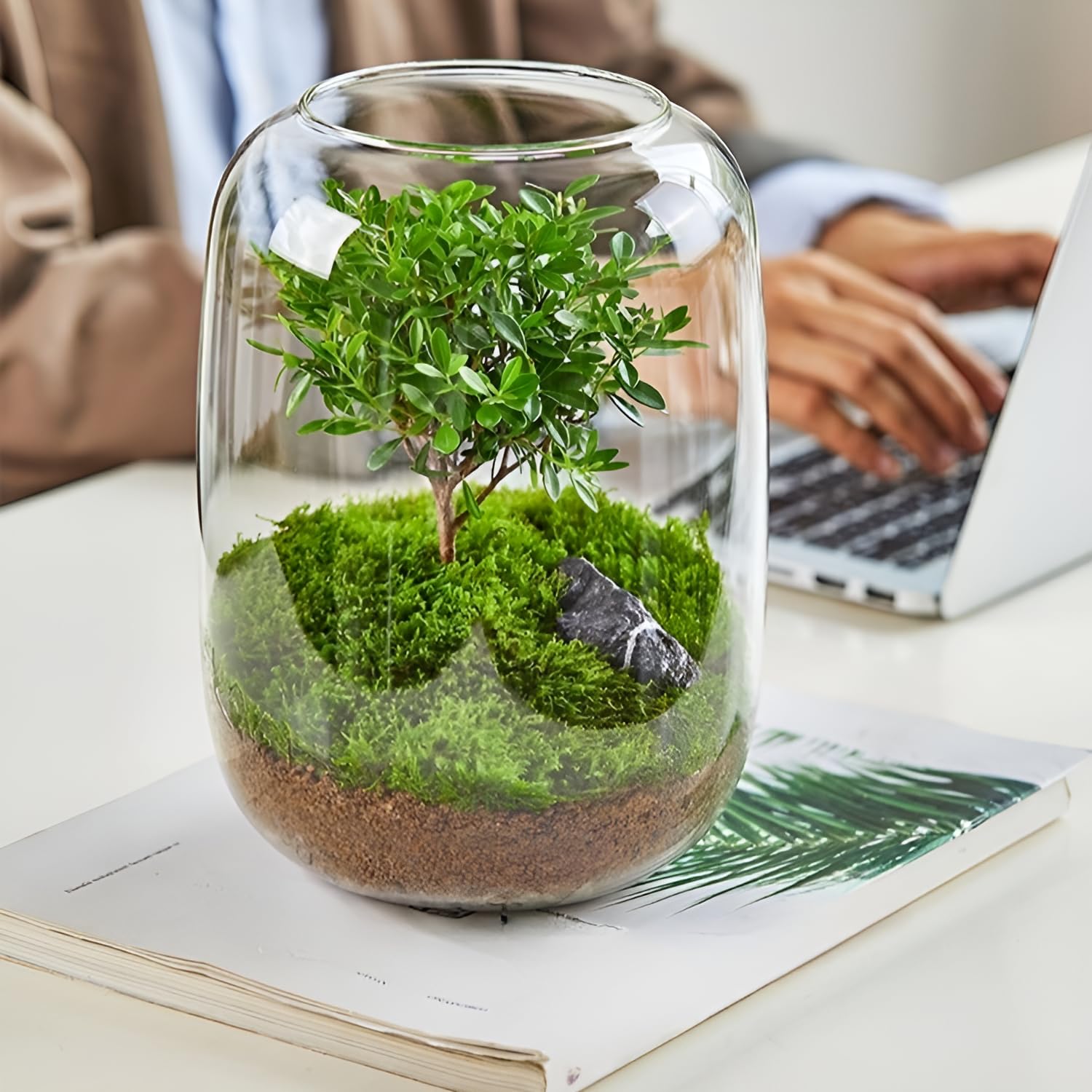 Amazon.co.jp: [Cociliye]【苔テラリウム】22cm エコボトル 電着塗装