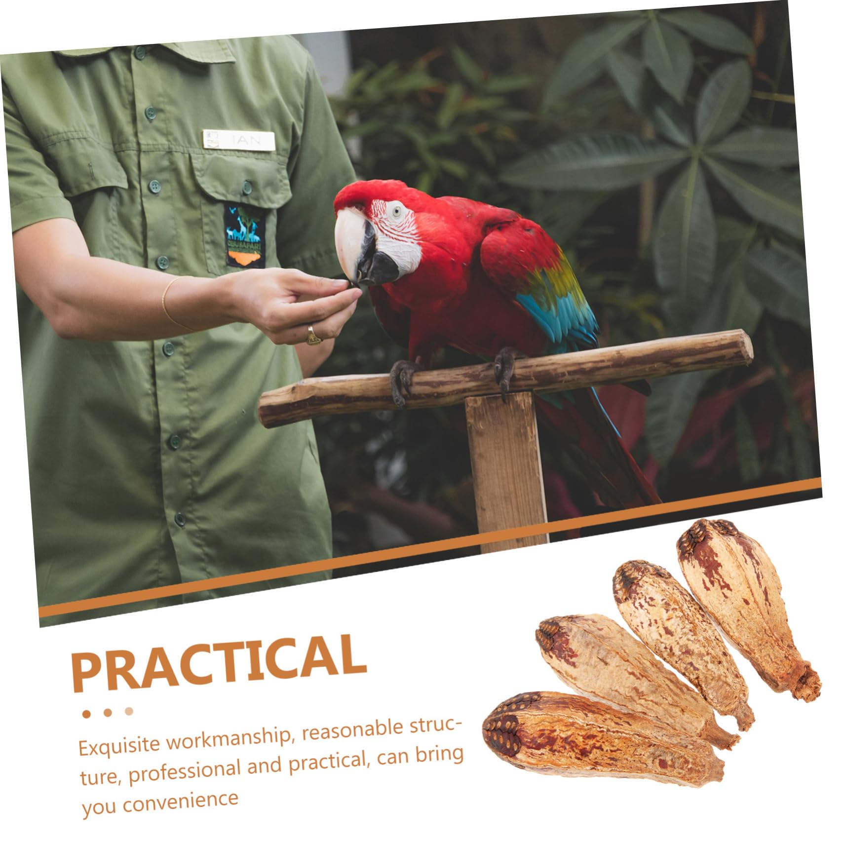 FRCOLOR 20pezzi Giocattoli Per Uccelli Da Foraggiare Naturale Giochi Per Pappagalli Accessori Per Cage La Noia e Stimola Naturale Dei Pappagalli