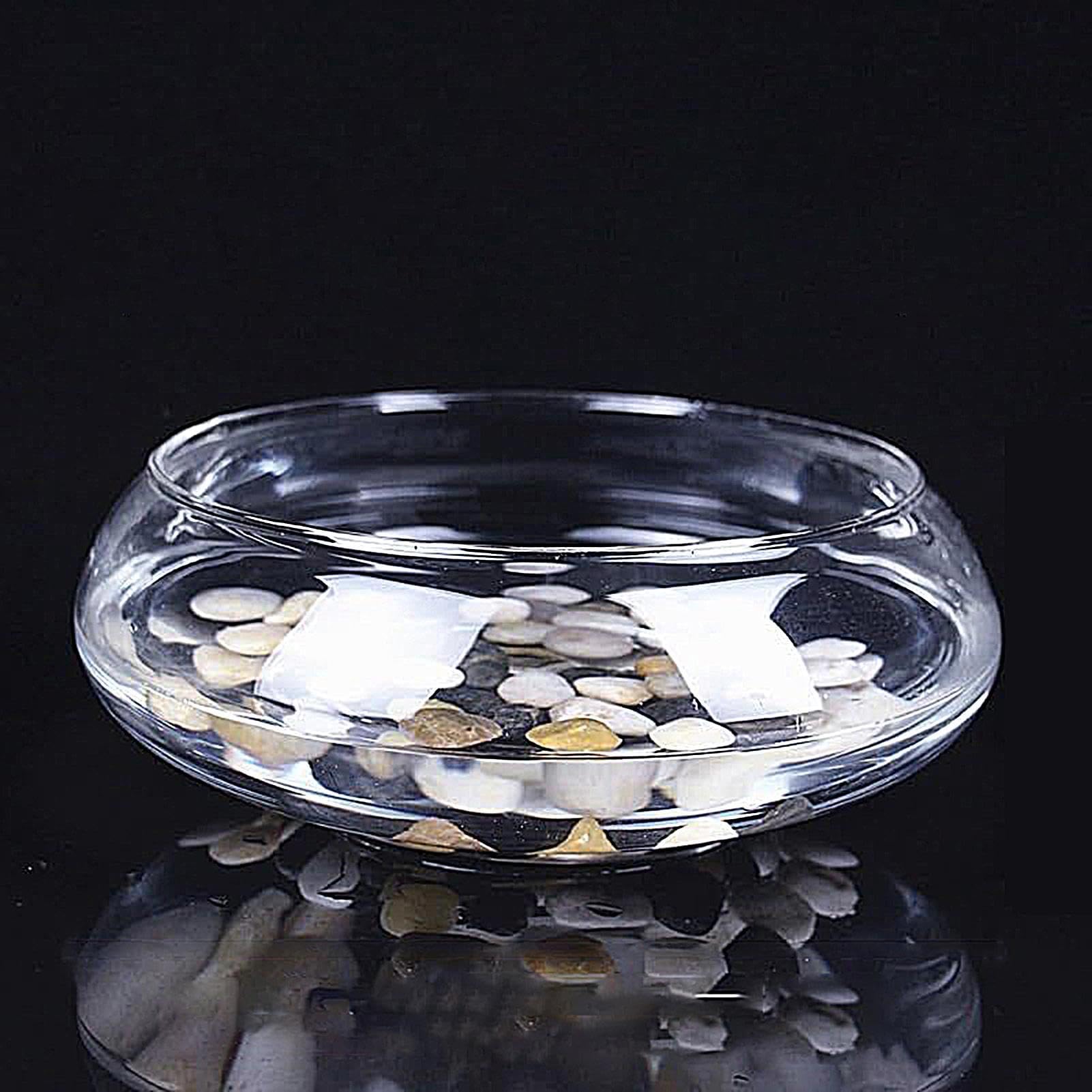 Generico Duża donica na kwiaty, mała głęboka, duża przezroczysta dekoracja domu, doniczka na kwiaty 24,9 cm do hydrokultury, do żonkila terrarium ogrodu kryty dziedziniec patio trawnik balkon dom