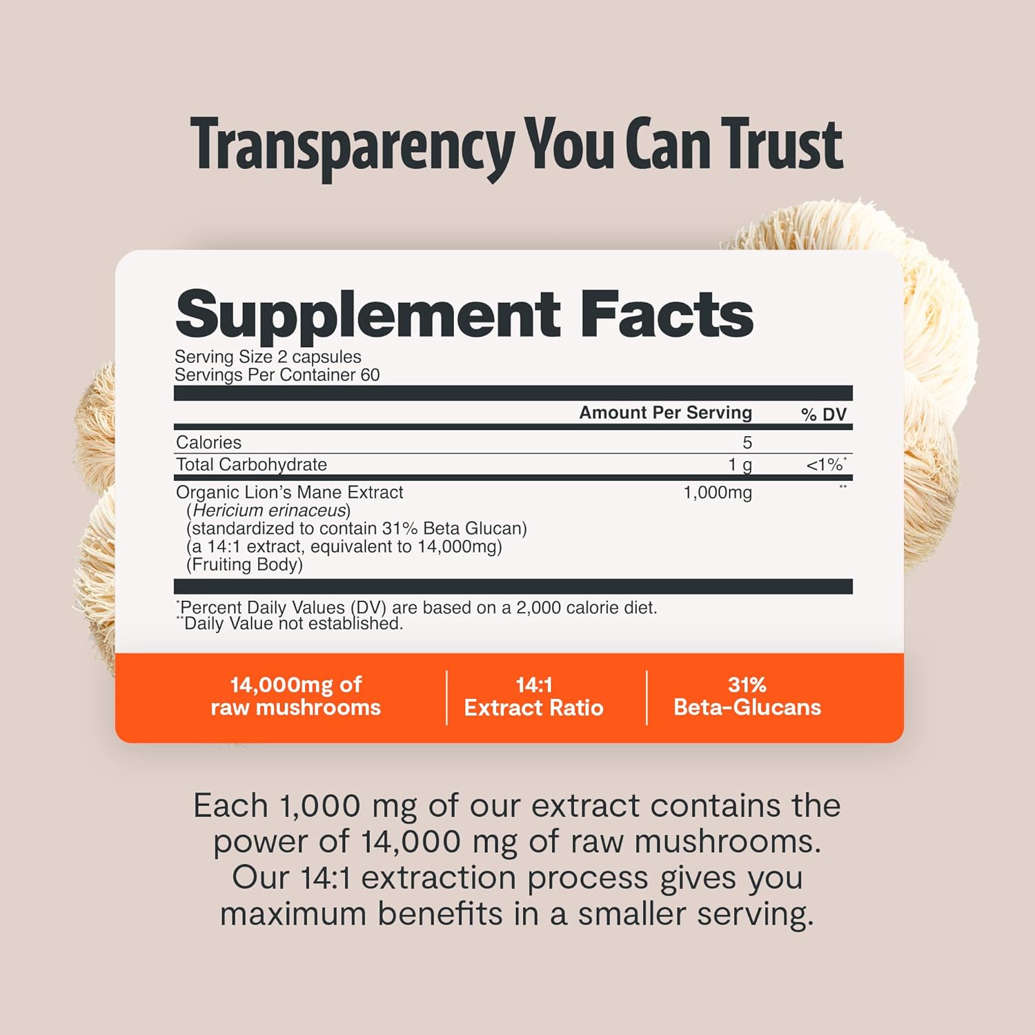 FreshCap Mushrooms Lions Mane Supplement Capsules 14,000mg - Lion's Mane, High Potency Extract, 14:1 Organic Mushroom Supplement, Ayurveda Focus Made in USA (120 Capsules) - Image 5