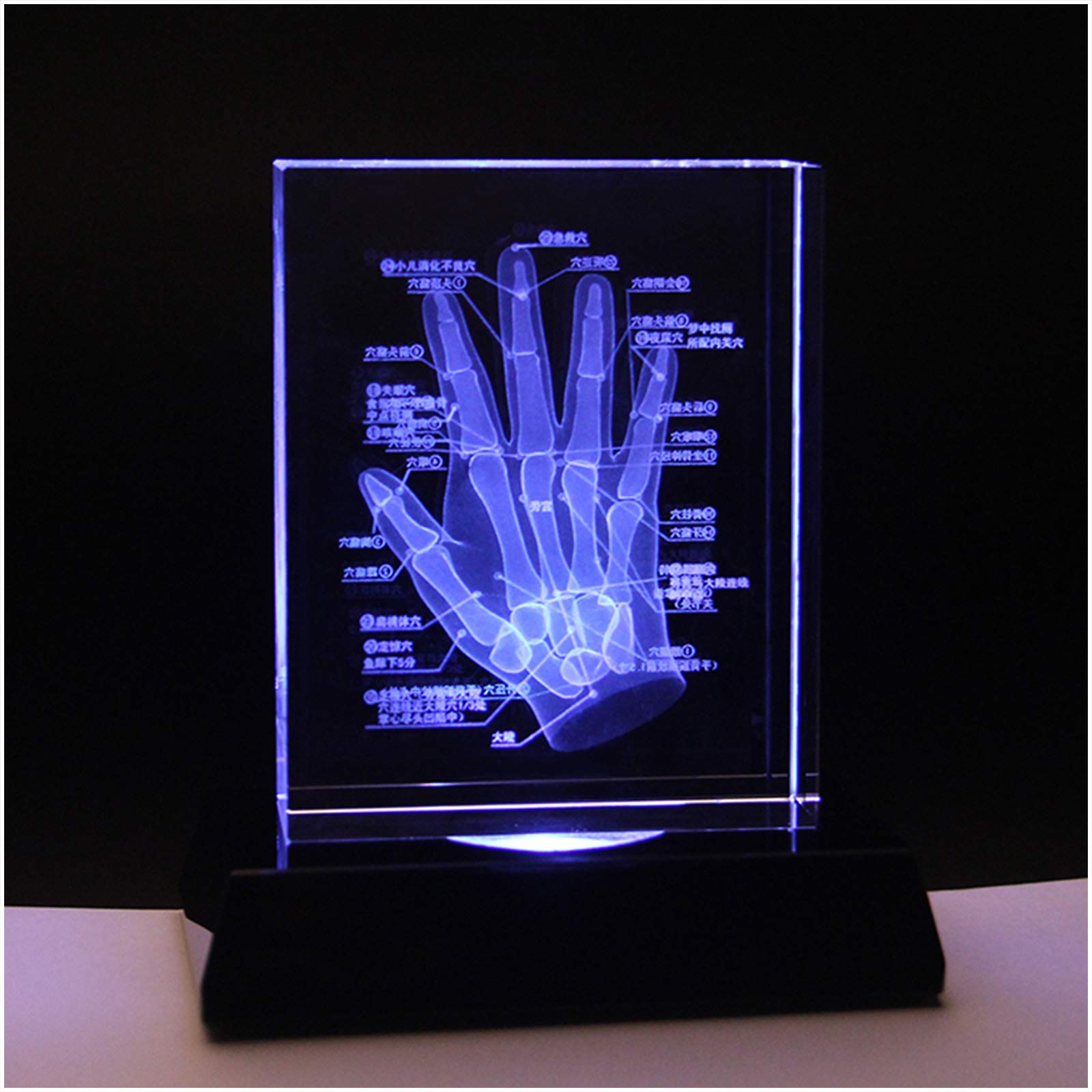 Sjdopulse 3D Human Hand Skeleton Model - Crystal Hand Skeleton Anatomical Model - Educational Model Human Hand Model - For Science Gift Souvenir