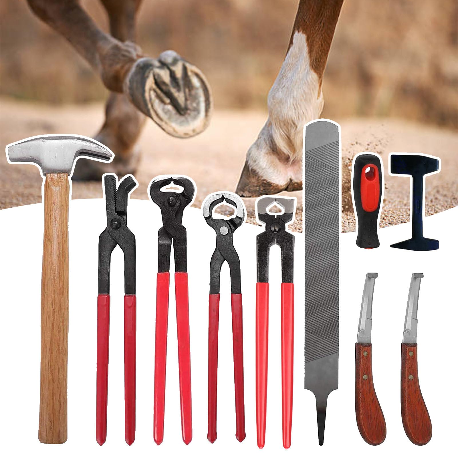 json2xml 9-teiliges Hufschmied-Hufwerkzeug-Set mit Aufbewahrungstasche,inklusive Hufeisen-Schneidzangen-Set/Hufmesser/Hufhammer/Handschuhe mit rechtem