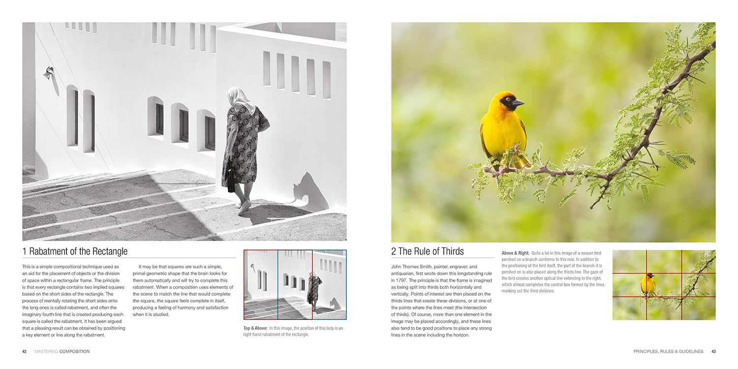 Mastering Composition: The Definitive Guide for Photographers