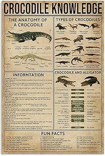 SMAZDFXX Krokodil-Wissensposter, Wissenschafts-Infografik, Tier-Wanddekoration, Heim- und Zimmer-Wanddekoration, Vintage-Druck, Plaketten-Dekor, 20,3 x 30,5 cm